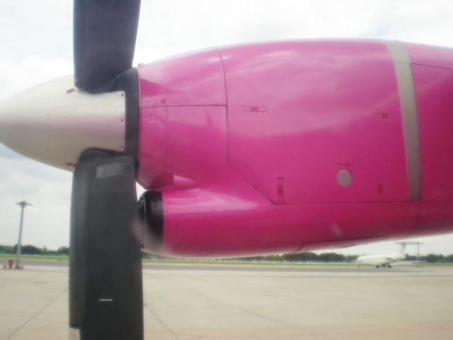 P7230074_resize.JPG